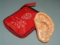 Mini Ear Model of Acupuncture Points by Mini Ear Model of Acupuncture Points