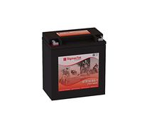 YTX16-BS-1 Motorcycle Battery (Replacement)