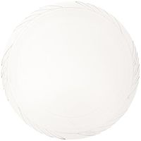 Blue Sky 40 Count Lightweight Plastic Plates, 10", Clear