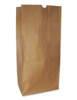 16" x 12" x 35" 50 lb. Unprinted Biodegradable Lawn and Leaf Kraft Paper Bags - 2 ply (50 Bags) - AB-175-11-02