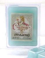 Courtney's Candles Citrus Leaves Mixer Melt or Wax Tart