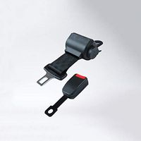 LRWSB 2-Point Seatbelt Truck Coach School Bus and Playground Amusement Park Seatbelt