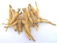 American (Panax) Ginseng Root, USDA Certified Organic, 1 Oz. Bag