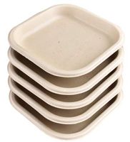 50 Count - 7" Square Natural Sugarcane Bagasse Plates - Ecofriendly - Biodegradable, Compostable Plates