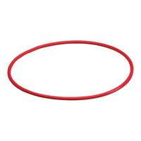 Olympus O-Ring for PT-EP01 UW Housing