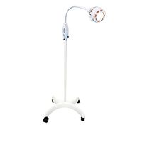 Philips Burton GL30W Gleamer Wall Mount with Extension Arm and Universal Mount, 120V Model