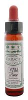 Original Bach Flower Remedy 10ml - WILD ROSE