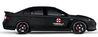 2pcs Umbrella Corporation Sticker Decal Aufkleber 50x36cm Zombie Outbreak Response Team JDM Auto Laptop Domo Kun