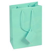 10 pcs Medium Fancy Robin's Egg Blue Glossy Finish Shopping Paper Gift Sales Tote Bags with Blank Message Tag 4.75" x 2.5" x 6.75"