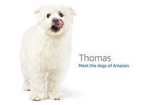 Bite Guard Intelliguard Pro Bruxism Mouthpiece Adjustable Night Guard Sleep Aid Sleep Eliminator (Renewed)