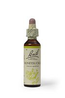 Bach Original Flower Remedies - Honeysuckle 20ml by Nelson Bach