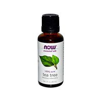 NOW Essential Oils, Tea Tree Oil, Cleansing Aromatherapy Scent, Steam Distilled, 100% Pure, Vegan, 1-Ounce