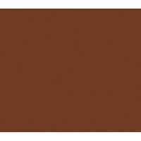 Tissue Paper Raw Sienna