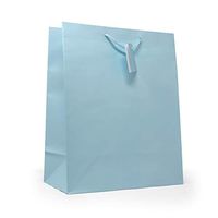 Allgala 12PK Value Premium Solid Color Paper Gift Bags (13"LG-Light Blue-GP50102)