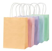 Pastel Paper Bags, Easter Egg Hunts, Party Favors (6.2 x 8.5 x 3.1 In, 25-Pack)