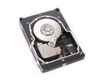 ST373454SS Seagate Cheetah 73gb 15000rpm 3.5inch Sas-300 8mb Cache In