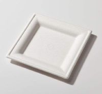 6" Biodegradable Square Plate Sugarcane (Pack of 300)