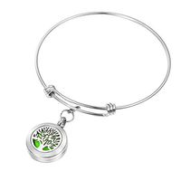 HOUSWEETY Aromatherapy Essential Oil Diffuser Bracelet-Stainless Steel Locket Bracelet,11 Refill Pads(Non-Engraving)