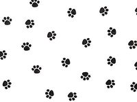 tkcathyschaos Dog Cat Black Paw Print Cello Cellophane Party Favor Goodie Treats lot 100 Bags 5 x 3 x 11
