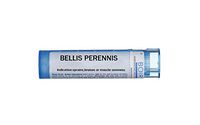 Boiron Bellis Perennis 12c, Blue, 80 Count