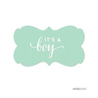 Andaz Press Fancy Frame Rectangular Label Stickers, It's a Boy!, Mint Green, 36-Pack