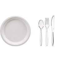 AmazonBasics Compostable Plates, 10-Inch, 500-Count + 360-Piece Clear Plastic Utensil Cutlery Set