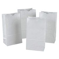 Rainbow Bags, 6# Uncoated Kraft Paper, 6 x 3-5/8 x 11, White, 100 per Pack