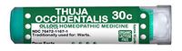 Ollois Lactose Free Homeopathic Medicines, Thuja Occidentalis 30C Pellets, 80 Count