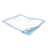 Tendersorb Fluff Filled Underpad, 23 x 24 Inch, Moderate Absorbency Non-woven Cover, CS/200