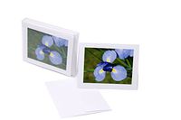 JonS Designs" Violet Iris" Blank White Note Card (5.5" x 4.25") Pack of 6, Comes with White Envelope, Printed in USA