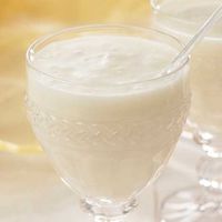 Cheesecake Protein Pudding/Shake Packets - 7/Box