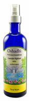 Oshadhi Hydrosols Lavender Highland, Organic 200 mL