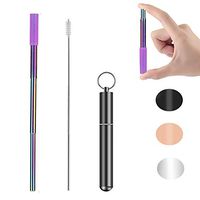 Stainless Steel Straws (Black+Rainbow Straw)