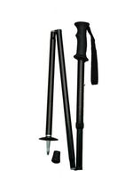 Backcountry Folding Hiking Pole Color: Black