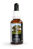 Oak Bach Flower Remedy Large 30ml. Genuine Traditionally Made Essence
