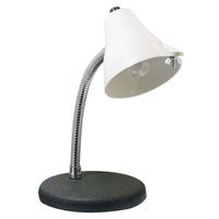 Big Eye 2X Magnifying Desk Lamp