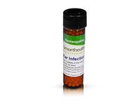 New Adult Earache Formula.High Potency All Natural Pills.