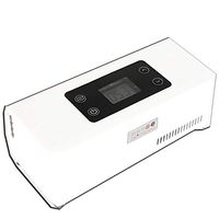 YZJJ Smart Insulin Cooler Box, Portable Insulin Cooler, Mini Cold Boxes Portable Drug Reefer Car Small Refrigerator, for Travel/Car/Drug Storage