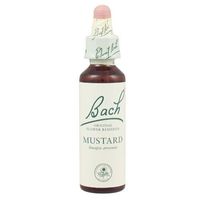 Dr Bach Mustard Bach Flower Remedy 10ml