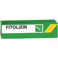 FITOLIZIN Phytolisin 100g - Urinary Tract Infection Treatment Support - Herbal Preparation to Flush Impurities