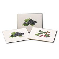 Earth Sky + Water - Berry Assortment II Notecard Set - 8 Blank Cards with Envelopes (4 each of 2 styles)