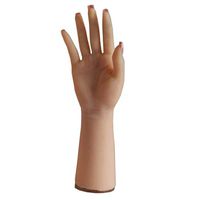LXX Mannequin Hand - Realistic Silica Gel Simulation Female Hand Model - for Artist Hand Model Arts Drawing, Sketching, Painting, Jewelry Display