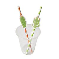 GBSELL 10pcs Environmental Novelty Cactus Stripe Paper Drink Straw Decoration (Orange)