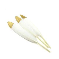 Riverbyland 20 PCS Gift Wrapping Craft Feathers White Golden