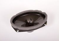 ACDelco 22699256 GM Original Equipment Rear Radio Speaker