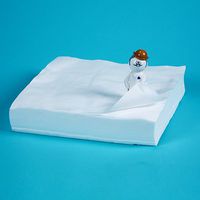 Divine Medical 17885 Cleanroom Wipes (12"L x 12"W)