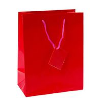 Dozen Medium Magenta Gift Bags with Tags