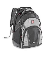 Swiss gear Synergy Pro Laptop BackPack