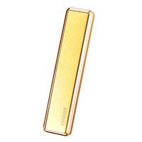 Pinleg USB Electric Double-Sided Flameless Torch Rechargeable Windproof Smoke Lighter Cool Pocket Lighter for Camping (Gold)