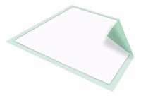 MCK73463100 - Underpad McKesson Regular 23 X 36 Inch Disposable Fluff / Polymer Moderate Absorbency